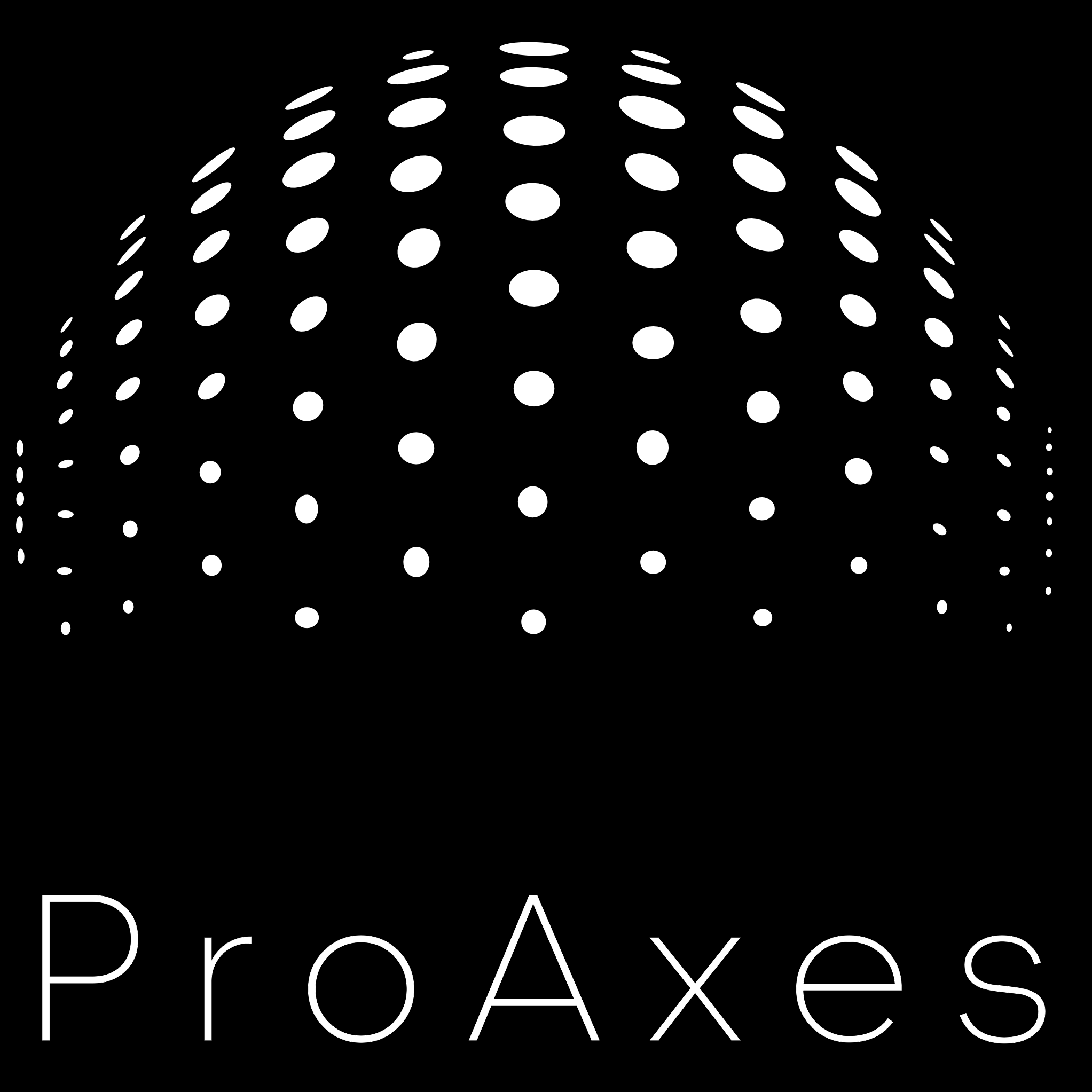 PROJECT AXES LLC